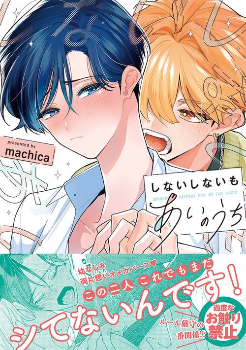 しないしないもあいのうち