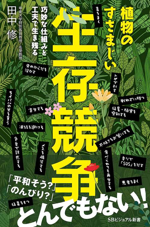 植物のすさまじい生存競争