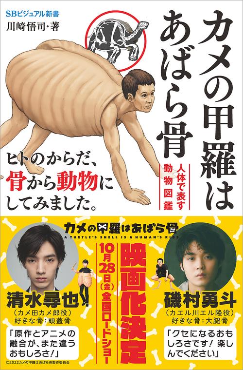 カメの甲羅はあばら骨