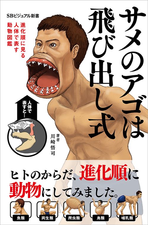 サメのアゴは飛び出し式