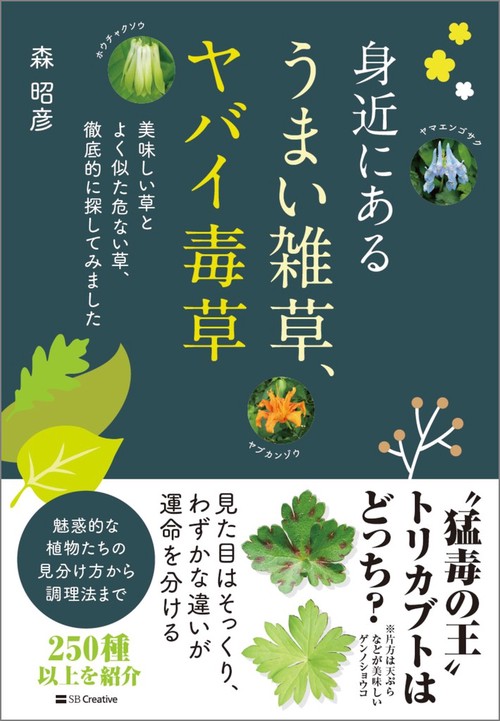 身近にある うまい雑草、ヤバイ毒草