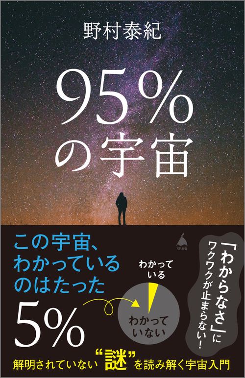 95％の宇宙 – 丸善ジュンク堂書店ネットストア