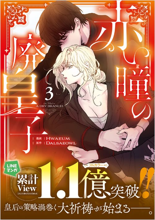 赤い瞳の廃皇子（コミック）３