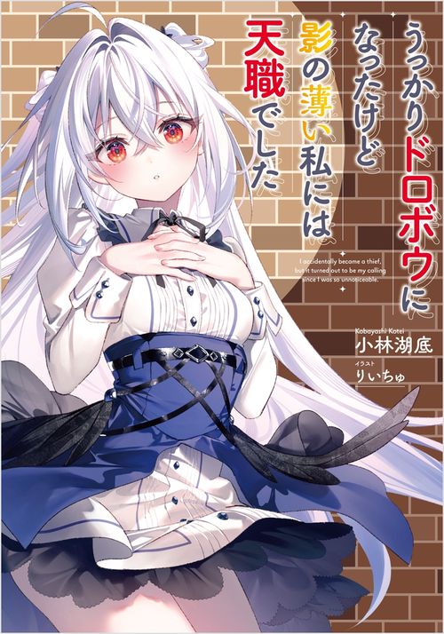 うっかりドロボウになったけど影の薄い私には天職でした