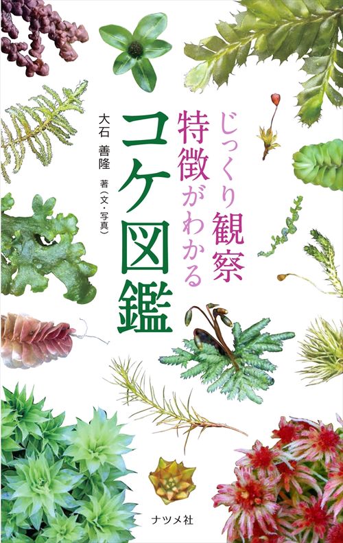 じっくり観察特徴がわかるコケ図鑑