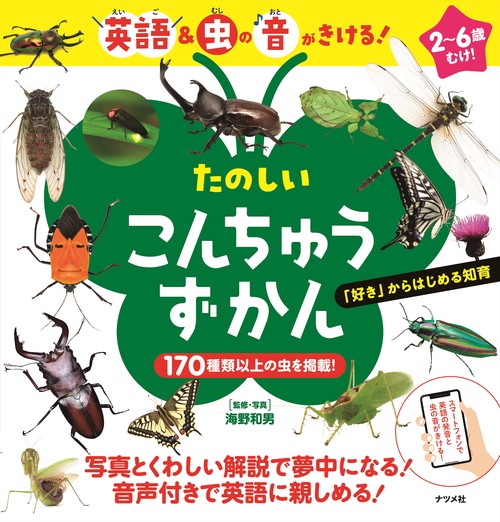 英語＆虫の音がきける！　たのしい こんちゅうずかん