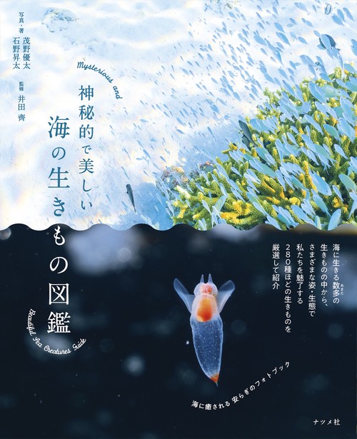 神秘的で美しい海の生きもの図鑑 – 丸善ジュンク堂書店ネットストア