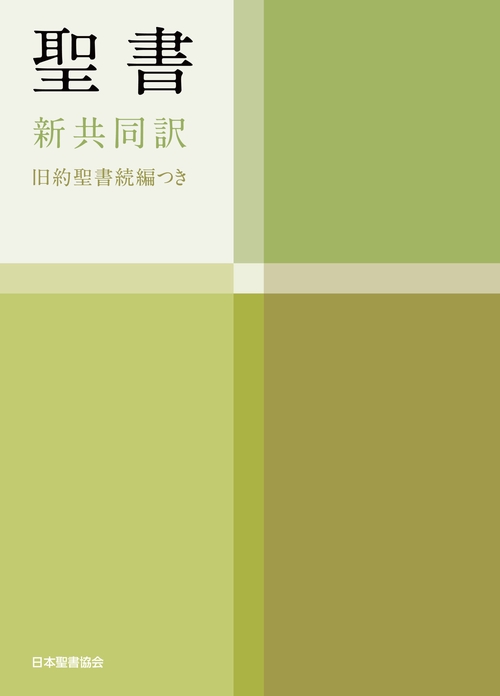 聖書（新共同訳　NI34DCH）