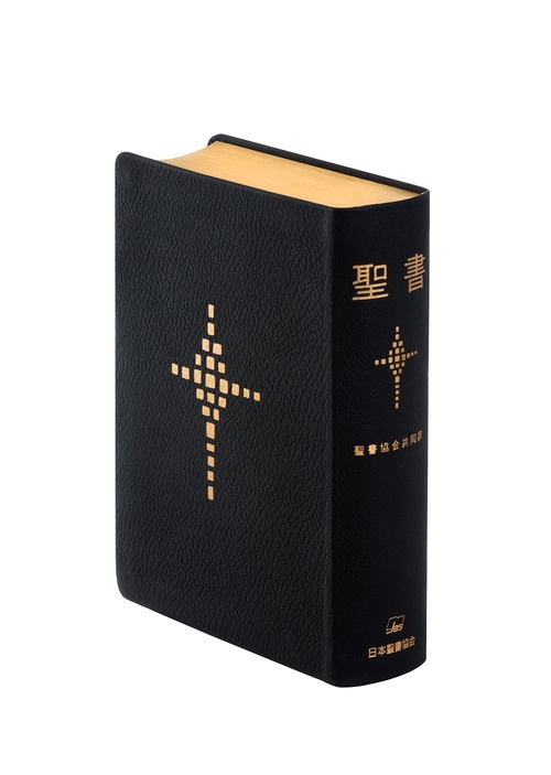 聖書 聖書協会共同訳 総革装小型 SI48
