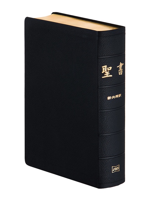 新共同訳 大型聖書 NI68(B) 革装