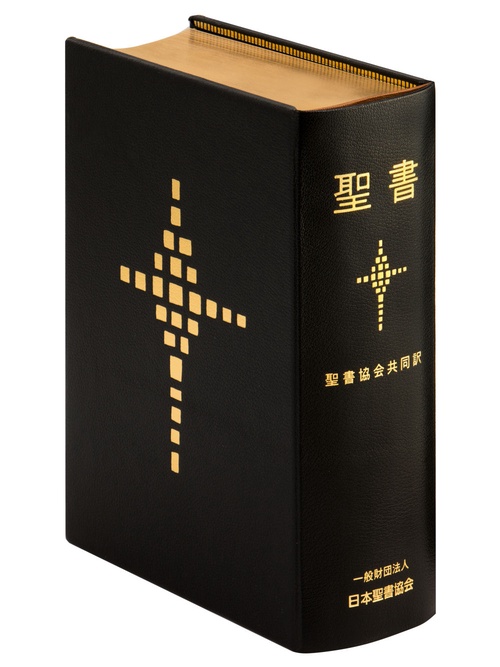 聖書 聖書協会共同訳 講壇用 SI98