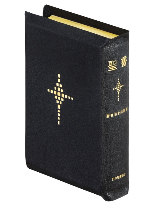 聖書 聖書協会共同訳 折革装中型 SI59S