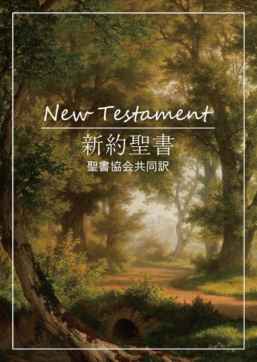 新約聖書 聖書協会共同訳 レインボウセット SI240-S