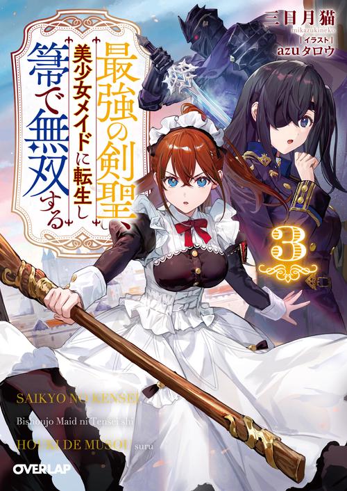 最強の剣聖、美少女メイドに転生し箒で無双する 3