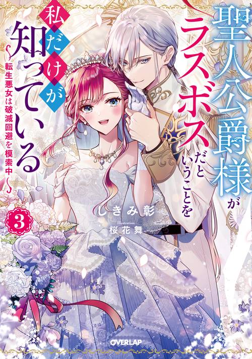 聖人公爵様がラスボスだということを私だけが知っている 3　～転生悪女は破滅回避を模索中～