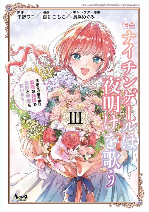転生ナイチンゲールは夜明けを歌う 3
