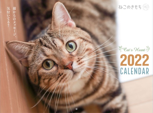 ねこのきもち大判カレンダー２０２２