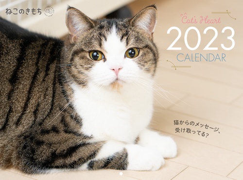 ねこのきもち大判カレンダー２０２３