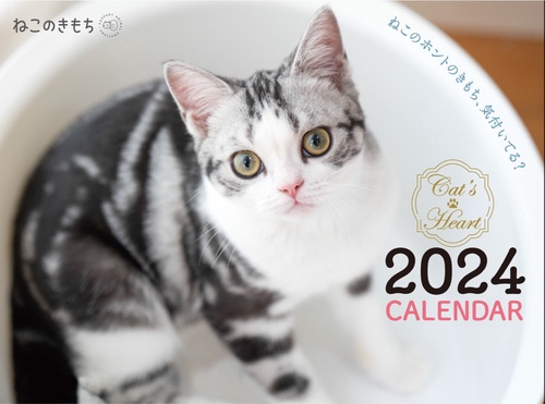 ねこのきもち大判カレンダー２０２４