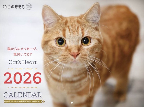 ねこのきもち大判カレンダー２０２６