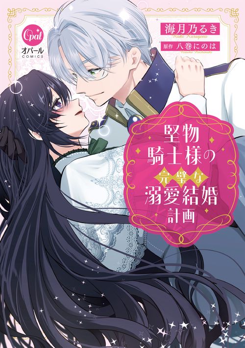 堅物騎士様の完璧な溺愛結婚計画