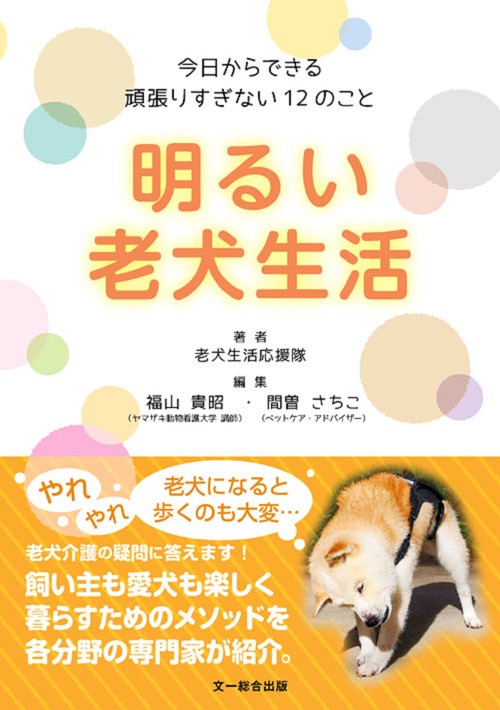明るい老犬生活