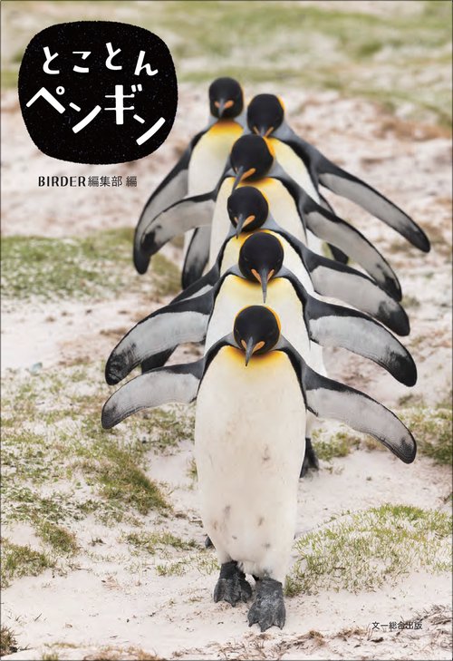 ペンギン ドミニオンペンギン❤︎世界唯一見られるDOMINION PENGUIN ペンギン ドミニオンペンギン❤︎世界唯一見られるDOMINION PENGUIN