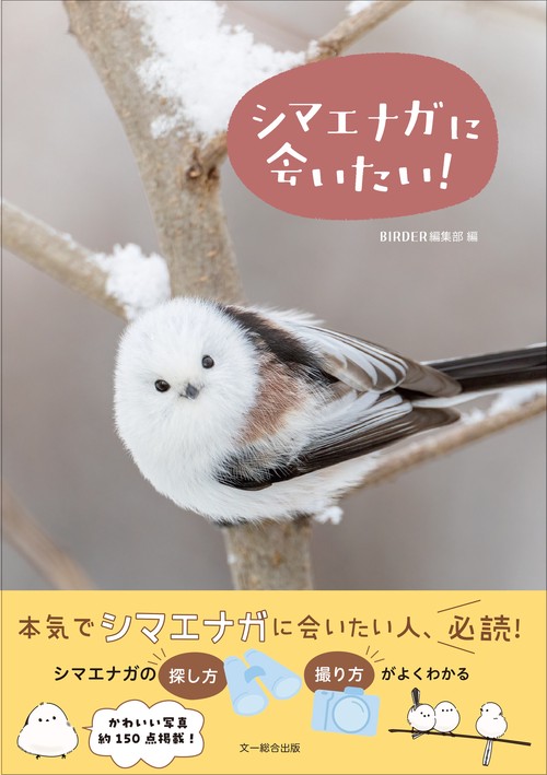 シマエナガに会いたい！