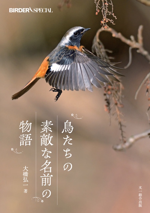 求名鳥　わたしの心をあなたに 鳥たちの素敵な名前の物語 – 丸善ジュンク堂書店ネットストア
