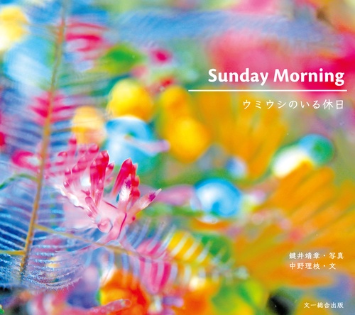 Sunday Morning ウミウシのいる休日