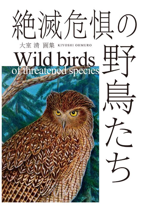 絶滅危惧の野鳥たち