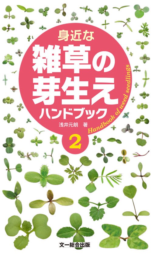 身近な雑草の芽生えハンドブック２