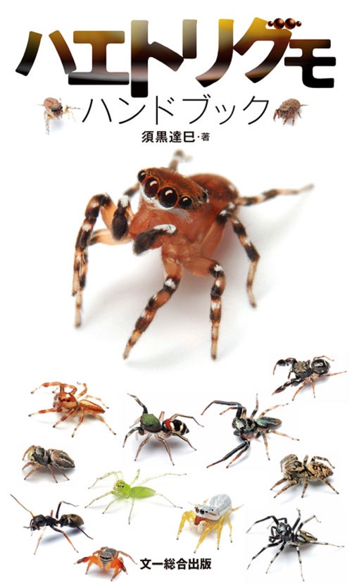 ハエトリグモ ハンドブック