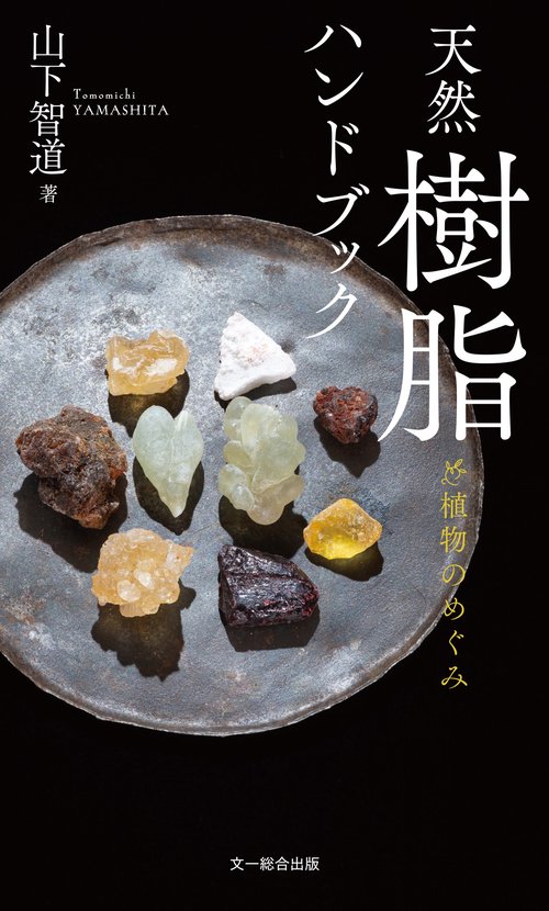天然樹脂ハンドブック – 丸善ジュンク堂書店ネットストア