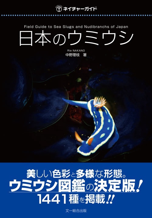 日本のウミウシ