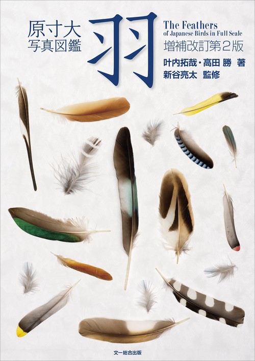 原寸大写真図鑑　羽　増補改訂第２版