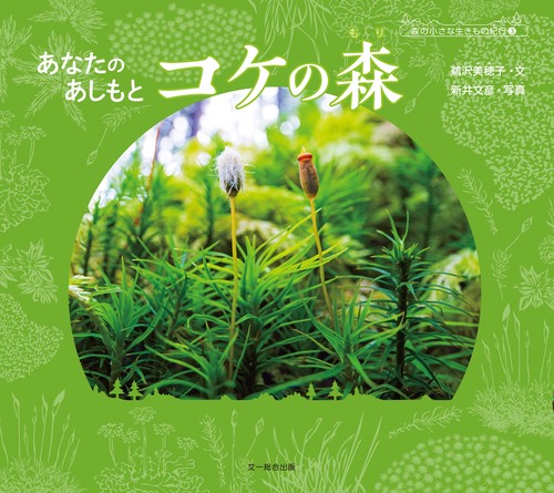あなたの　あしもと　コケの森