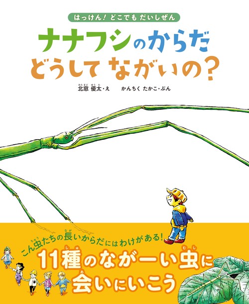 ナナフシのからだ　どうしてながいの？