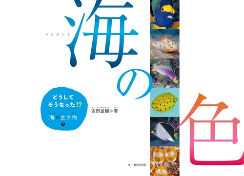 海の色