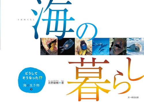 海の暮らし