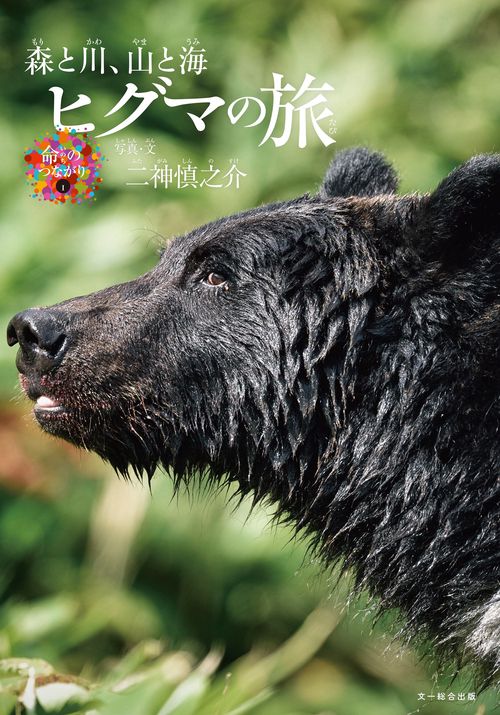 ヒグマの旅
