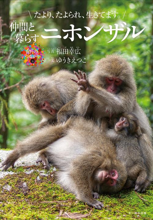 仲間と暮らすニホンザル