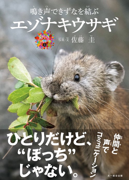 エゾナキウサギ