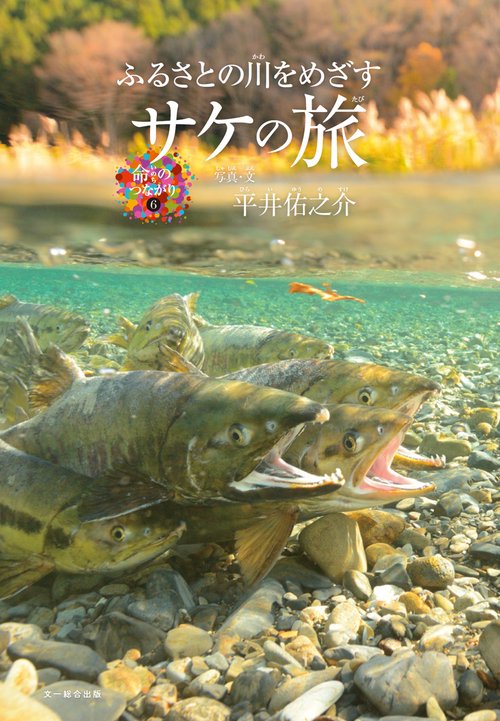 ふるさとの川をめざす　サケの旅