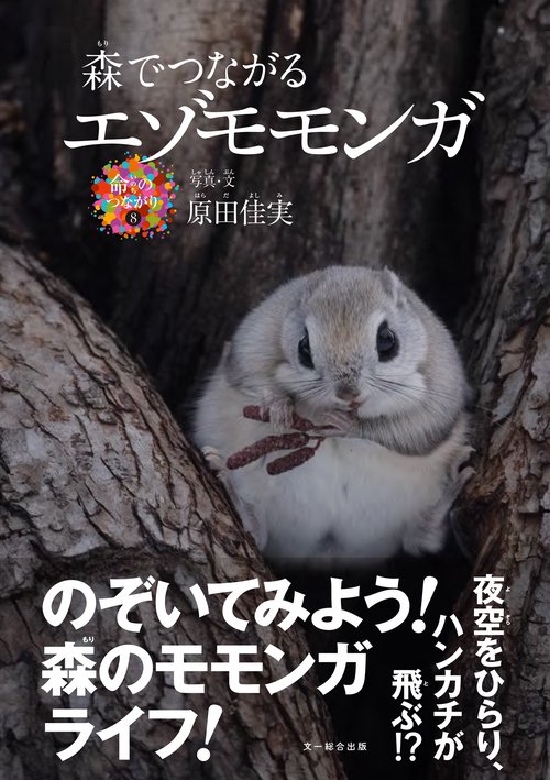 森でつながる　エゾモモンガ