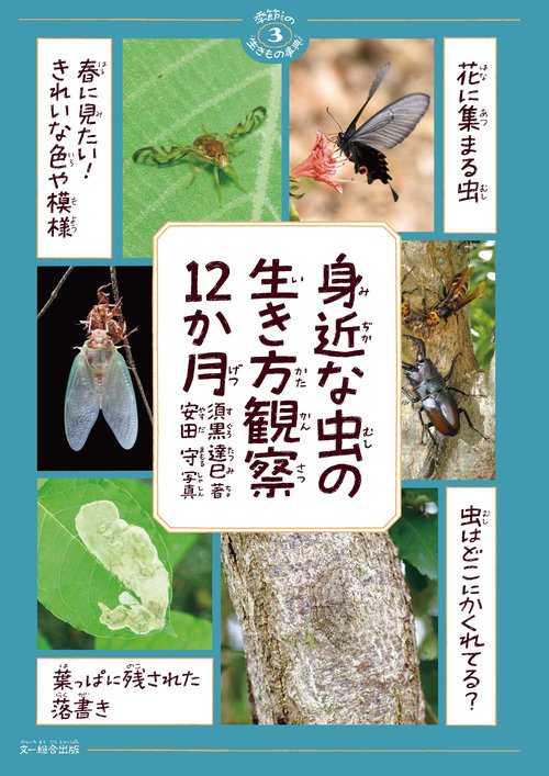 身近な虫の生き方観察12か月