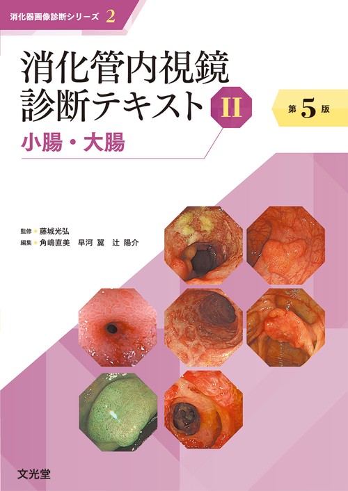 消化管内視鏡診断テキスト II 　小腸・大腸　第5版（消化器画像診断シリーズ）