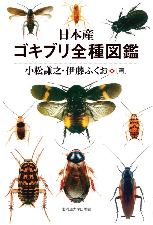 日本産ゴキブリ全種図鑑