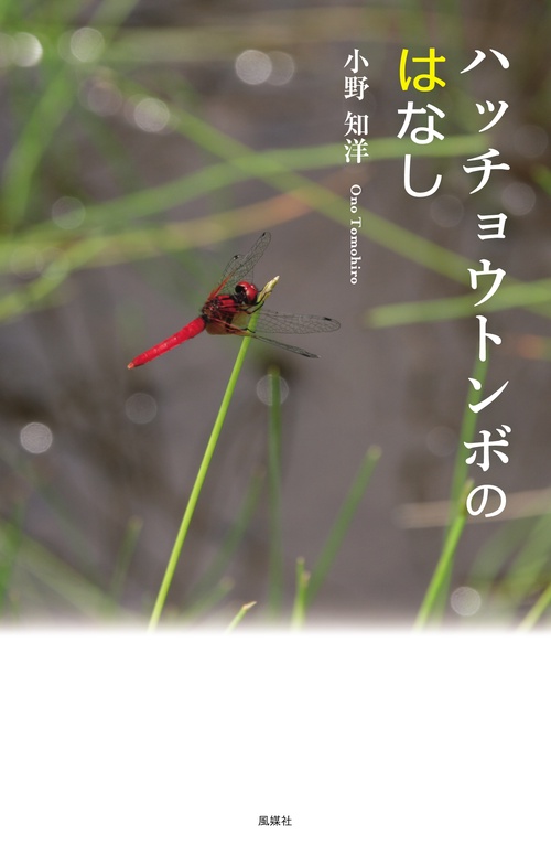 ハッチョウトンボのはなし