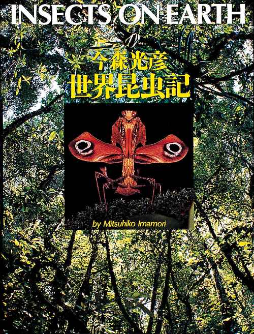 今森光彦 世界昆虫記